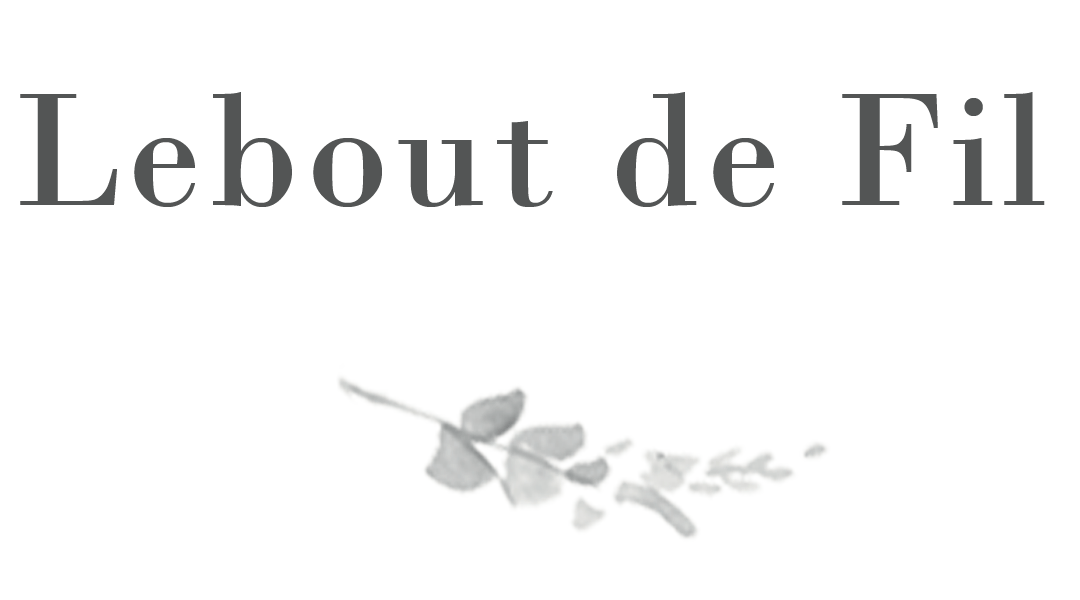 Lebout de Fil